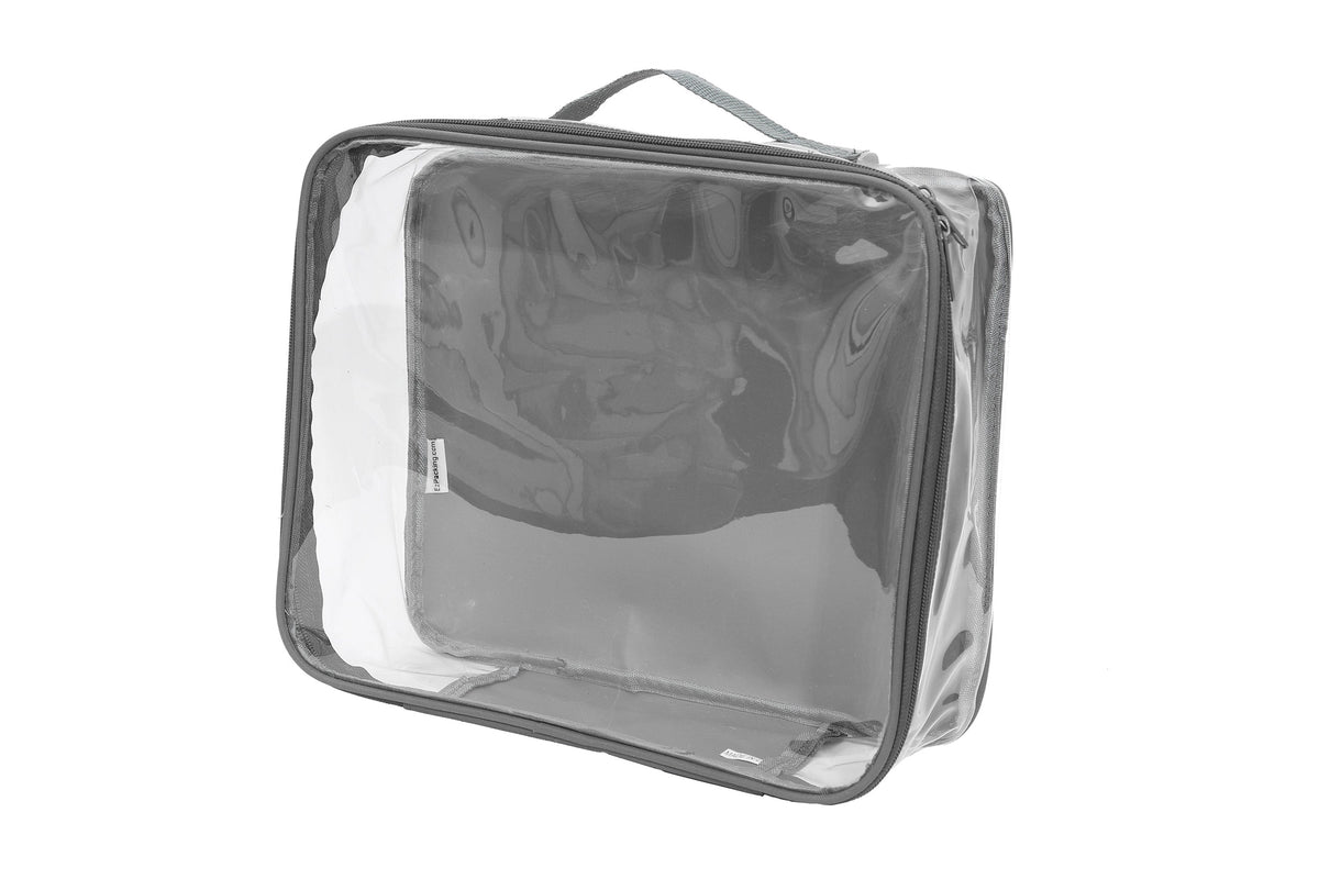 clear cube bag
