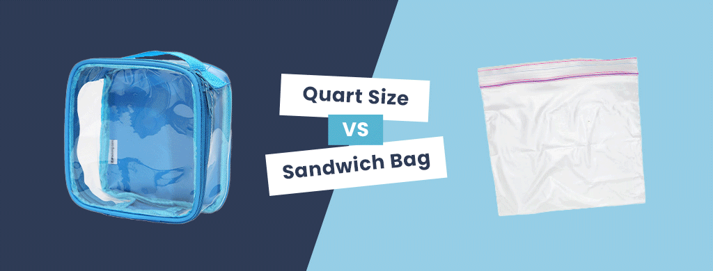 Quart Size Bag vs Sandwich Bag (2023): Which is Better for Storing